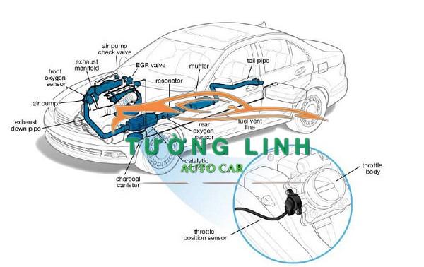 CẢM BIẾN CHÂN GA XE KIA CARENS 2011-2017 | 351902A000 - Ảnh 4