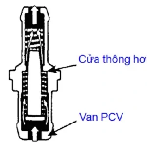 2674032804 | VAN HƠI MỘT CHIỀU PCV XE RIO - Ảnh 3