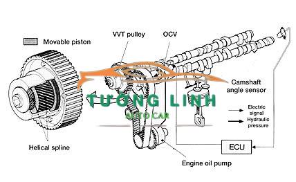 1655058MA0000 | VAN ĐIỀU KHIỂN DẦU DÀN CAM XE SUZUKI SWIFT 2013 - Ảnh 4