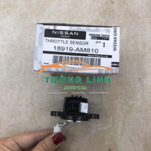 18919AM810 | CẢM BIẾN BÀN ĐẠP CHÂN GA NISSAN XTRAIL 2006