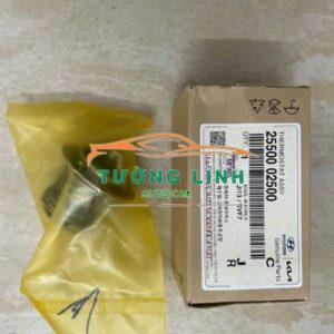 VAN HẰNG NHIỆT HYUNDAI I10 2008 CHÍNH HÃNG | 2550002500
