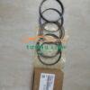 XÉC MĂNG XE KIA CARNIVAL 2.7 2005-2009 | 230403E001