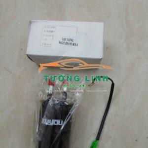 LỌC XĂNG XE MG ZS 2020-2024 | 10137854