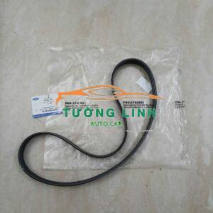 DÂY CUROA TỔNG XE FORD FOCUS 2014-2020 | F1EG6C301AA
