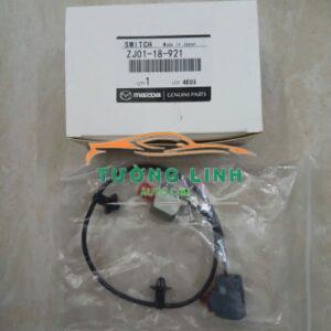 CẢM BIẾN KÍCH NỔ XE FORD LASER 2000-2006 | ZJ0118921