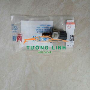 45PP31 CẢM BIẾN THANH RAIL NHIÊN LIỆU FORD TRANSIT