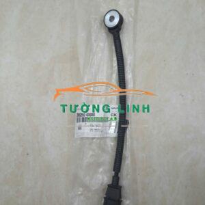 Cảm biến tiếng gõ Kia Carnival 2010 | 392504X000